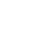 SSIP LOGO